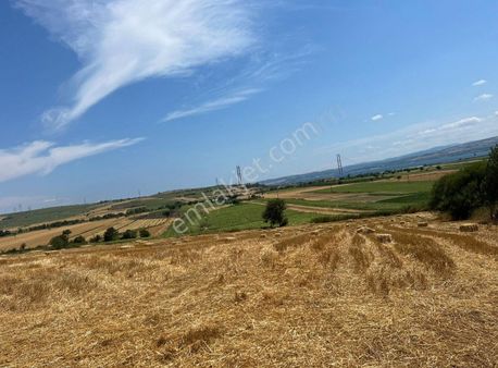 Tekirdağ Saray Beyazköyü De 538 M