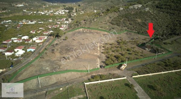 Ormanın Dibinde Kelepir Arsa