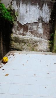 Can Gayrimenkulden Satılık Daire