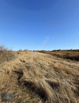 Kırkavak Köyünde 4805 M2 Gölete Yakın Arazi