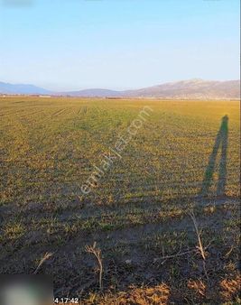 Elmalı Bayralar Mahallesin De 30.130 M2 Tarla Su Yol Elektirik