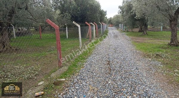 Efendi Mh.imara 900 M.2638m² Suyu Elkt. Ve Evi Olan Hobi Bahçesi