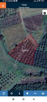 Kandıra Kaymazerikli Köyünde Konut İmarlı Fındıklık