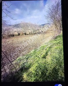 Bolu Merkez Hamzabey Hobi Bahcesi