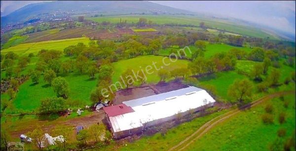 Gönen Bostancı Üvecek Te Koyun Çiftlik