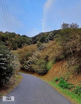 Ata Gayrimenkul'den Satılık Fındıklık