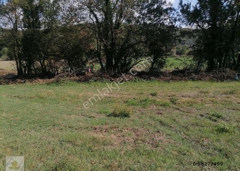 Kocaeli Kandıra Doğancılı Da Orman Manzaralı Satılık Tarla