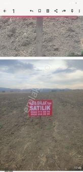 Kaya Emlaktan Satılık Tarla.18.493. M2