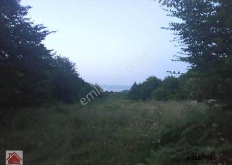 Karmürsel Osmaniye Satılık Tarla Kılıç Emlak Tan