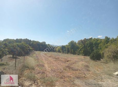 Yetkili Ofis- Köyceğiz Toparlar'da 7.300 M2 Hisseli Arazi-köyiçi