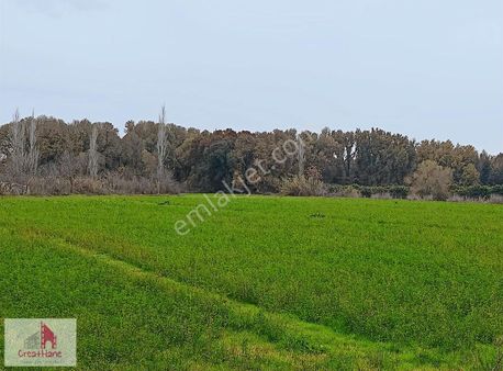 Yetkili Ofis - Toparlar'da 11.750 M2 Köyiçi İmarlı Arsa