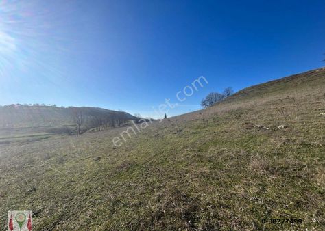 Kocaeli Karamürsel Çamdibi %5 İmarlı Satılık 6433 M2 Satılık Tarla