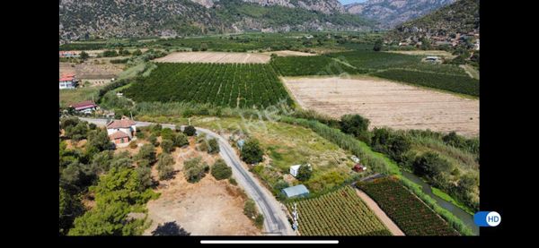Muğla Ortaca Mergenli'de Satılık Tarla
