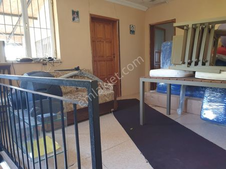 Kemalpaşa Nazarköy De Satılık Zeytinli Bağ