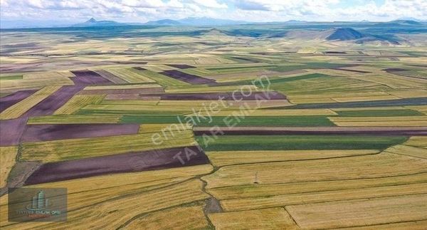 Sarayönü Özkentte 68.000m2 Tarla ( Ayrıca 69.000m2 Yer Daha Var)