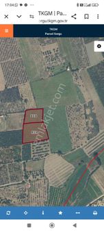 Olay Olay Aciliyetden Fiyat İndi.bursa İnegöl Edebey De Satilik Tarla