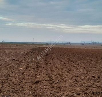 Kavaklı'da 15 Dönüm Satılık