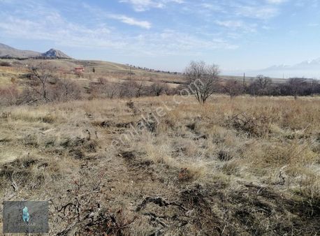 Lg'den Sedeftepe Köyünde Kerpiç Ev Ve Havuzu Olan 6.194 M2 Bahçe