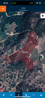 Aziz Emlak‘tan Çağlarca‘da Satılık 25 Dönüm Kiraz Ve Kivi Bahçesi