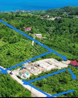 Perşembe Caytepe 10542m2 İmarlı Bahçe