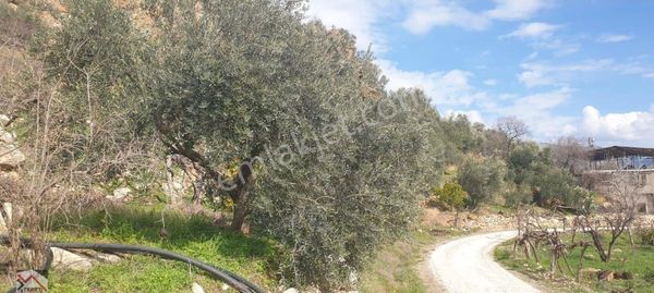 Silifke Keben De Sera Yapımına Uygun Tarla