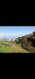 Serkan Emlaktan Beşirlide Yatırımlık Arsa