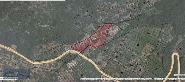 Datça Sındı'da 4228 M² Yolu Olan Satılık Tarla