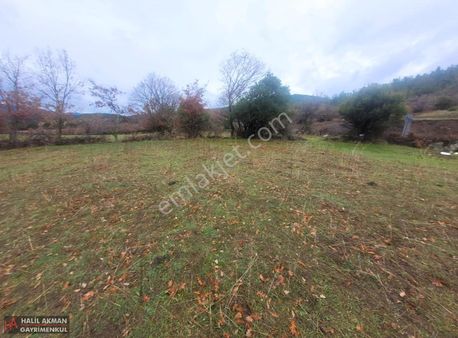 Akman'dan Havran Küçükşapçı'da Yola Cephe Satılık 4844 M2 Tarla