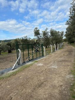 Ayvalık Mutluköy İmarlı Tinyhause Lu Zeytinlik