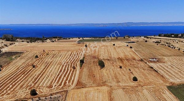 Gelibolu Bolayırda Tek Tapu Yatırımlık Arsa