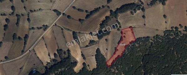 Dübekli Köyü Kadastro Yolu Olan Tarlalar