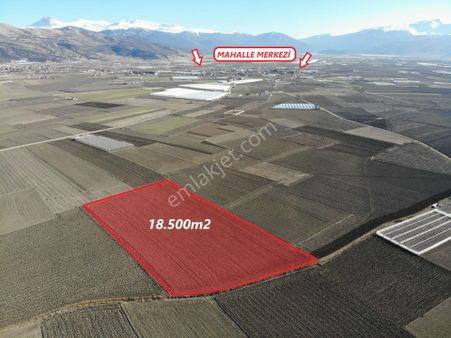 Antalya Elmalı Eymir Mah'de Tarıma Elverişli 18.500m2 Satılık Tarla