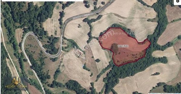 Asfalta Yakın Tek Tapu Yatırımlık Arazi [ 21 Dönüm ]