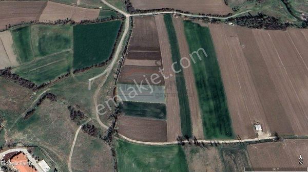 Güvenay - Çorum Celilkırı Akkent Toki Altında Satılık Tek Tapu Tarla