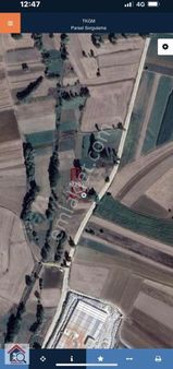 Bilecik Söğüt Oluklu Köyünde Satılık Tarla