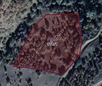 Baki Emlak'tan Çobanören'de Satılık Tarlalar