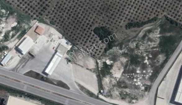 Bursa Akhisar İstanbul Sürat Yoluna Cepheli Fabrika Depo İmarına Açık Arsa Satılıktır