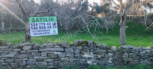 Ali Akdoğan Emlak Ofisinden Tire Merkezde Yola Sıfır Konumda Tarla Satılıktır