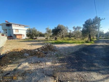 Terzioğlu'ndan Güre De Yolun Altında Köşe Parsel 650 M2 %15 Arsa