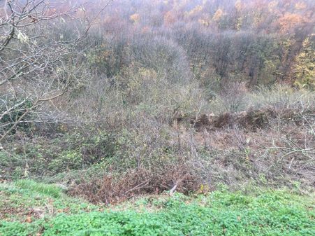 Kocaeli Kandıra Alefli Satılık Yatırıma Uygun Hobi Bahçesi Satılık