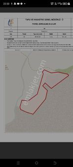 Kocasinan Bayram Hacı 23.927 Metre Kare Tek Tapu Yatırımlık Tarla