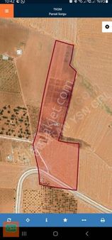 Yasin Batan'dan Büyük Akziyaret'te Acil Satılık Uygun Parsel!