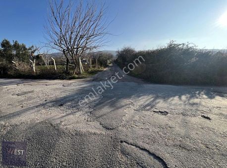 Merkez Köy Sarıcaelinde Asfalt Yola 200 Metre Satılık Tarla