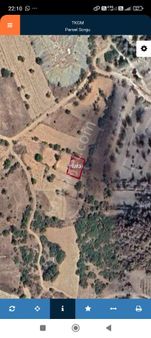 Çardak Söğütte Doğanın Kalbinde Bahçen Seni Bekliyor.