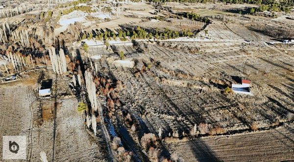 Denizli / Çameli Arıkaya Mevkiinde Fırsat Ceviz Bahçesi!