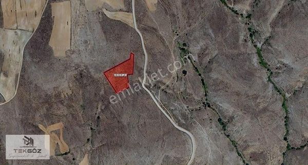 Tekgöz'den Eğriöz'de Satılık 8664 M2 Yatırımlık Tarla