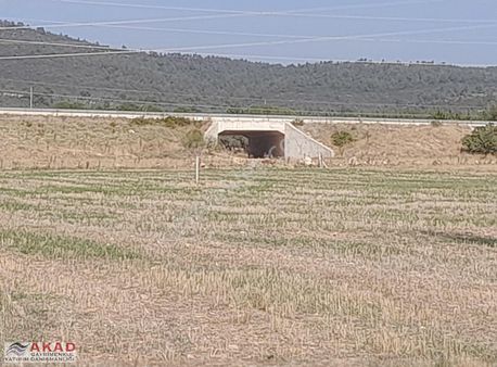 Torbalı Arslanlar'da Anayola 60mt Mesafede Düz Arazi