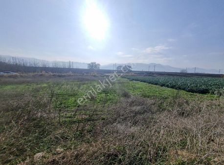 Pamukova Gökgöz Mahallesinde 1023m² Tarla