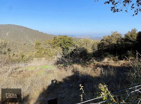 Ezine Sarpdere De Yatırımlık Fırsat Arsa