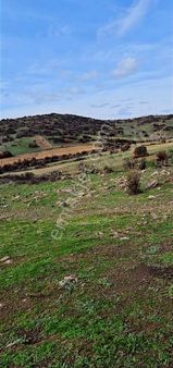 Salihli Beşyol Emlak'tan Satılık 1000 Dönüm Arazi